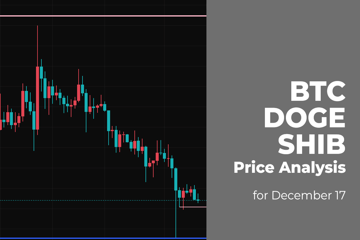 BTC, DOGE, and SHIB Price Analysis for December 17