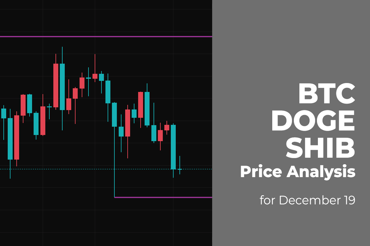 BTC, DOGE, and SHIB Price Analysis for December 19