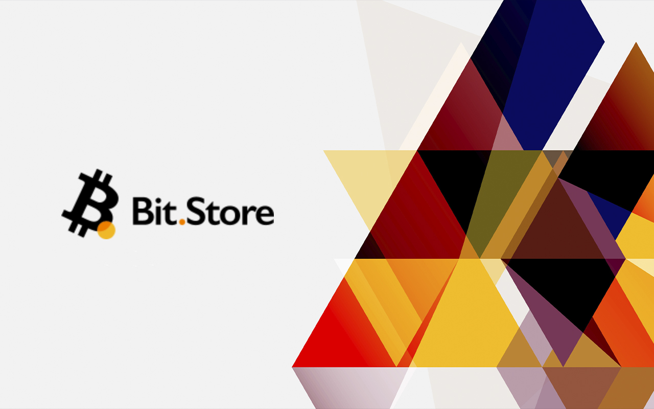 Bit.Store: A Gem in a Downward Market