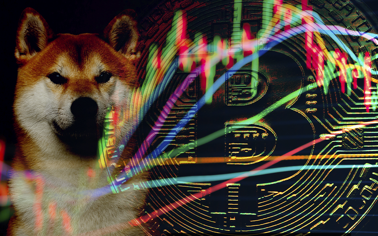 Bitcoin, Shiba Inu, Algorand Up as Cryptomarket Rises on Positive Investor Sentiment