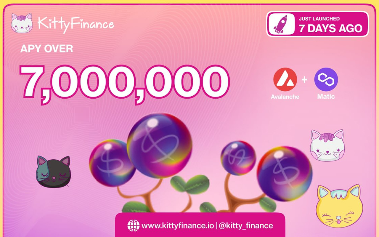 Tomb-inspired finance company Kitty Finance projected to reach over $50,000,000 TVL over the next 30 days