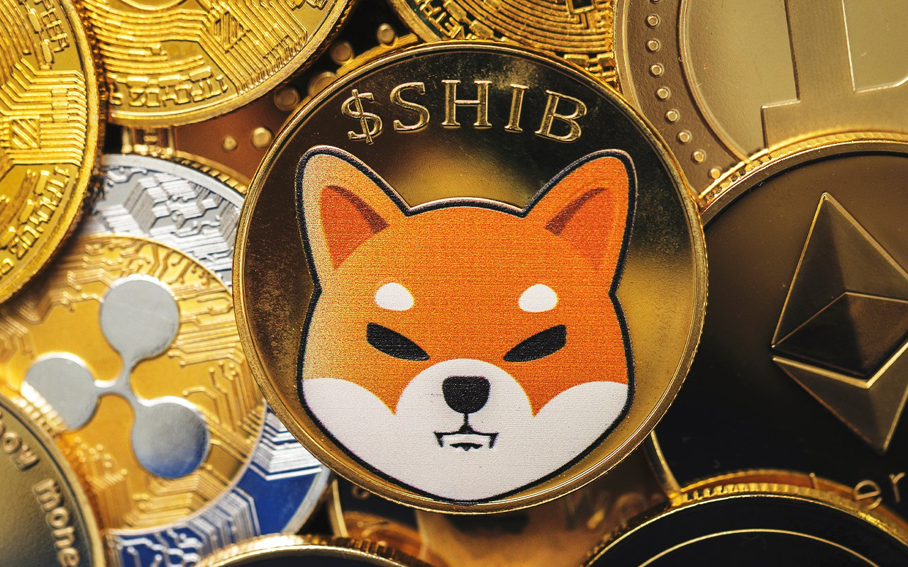 Shiba Inu Records More Than 100% Increase in Whale Active Addresses and Volume Despite Dips