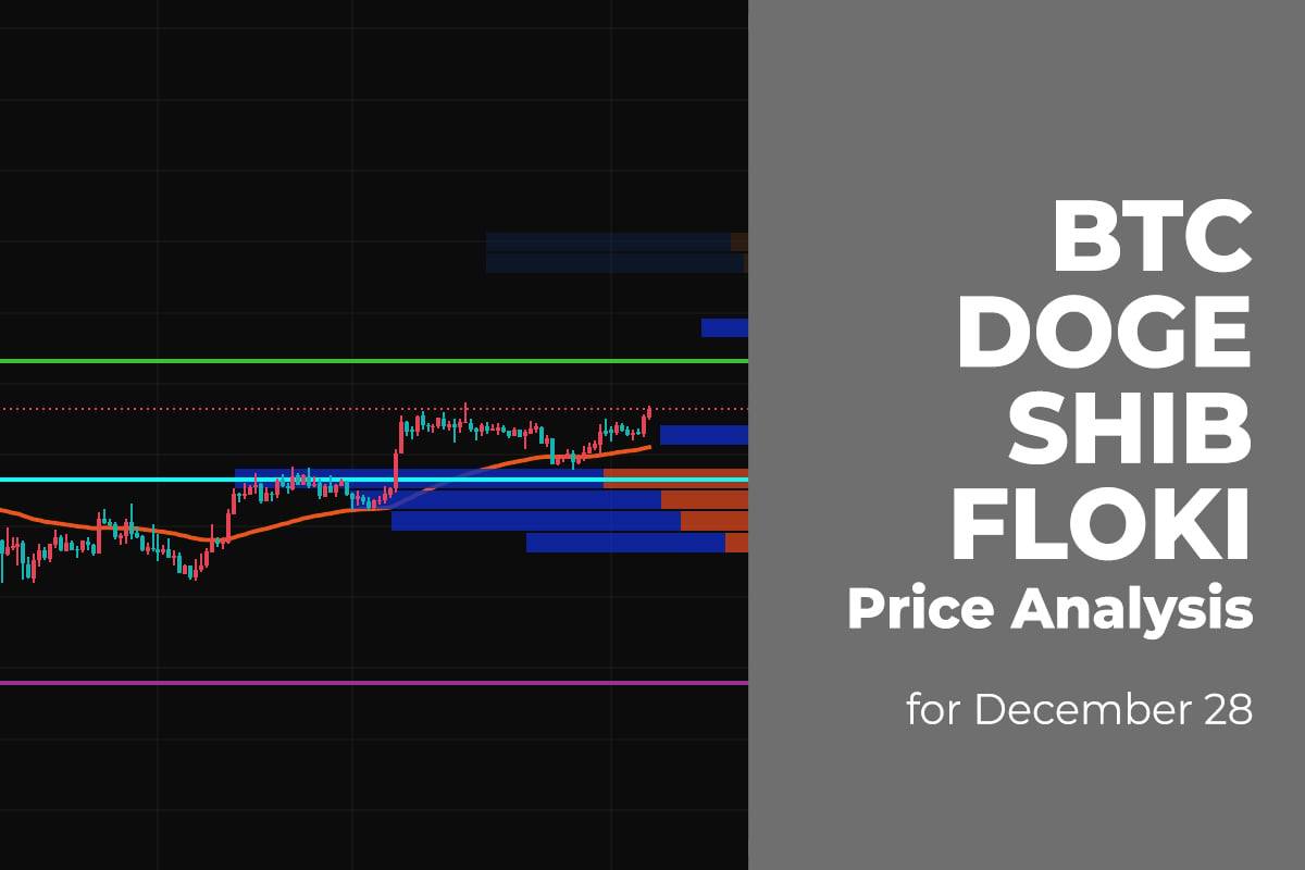BTC, DOGE, SHIB, and FLOKI Price Analysis for December 28