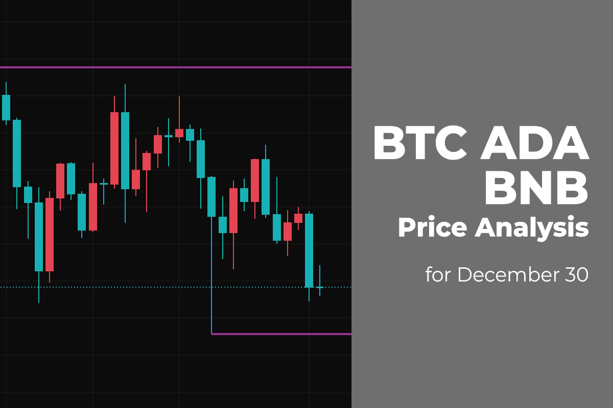 BTC, ADA, and BNB Price Analysis for December 30