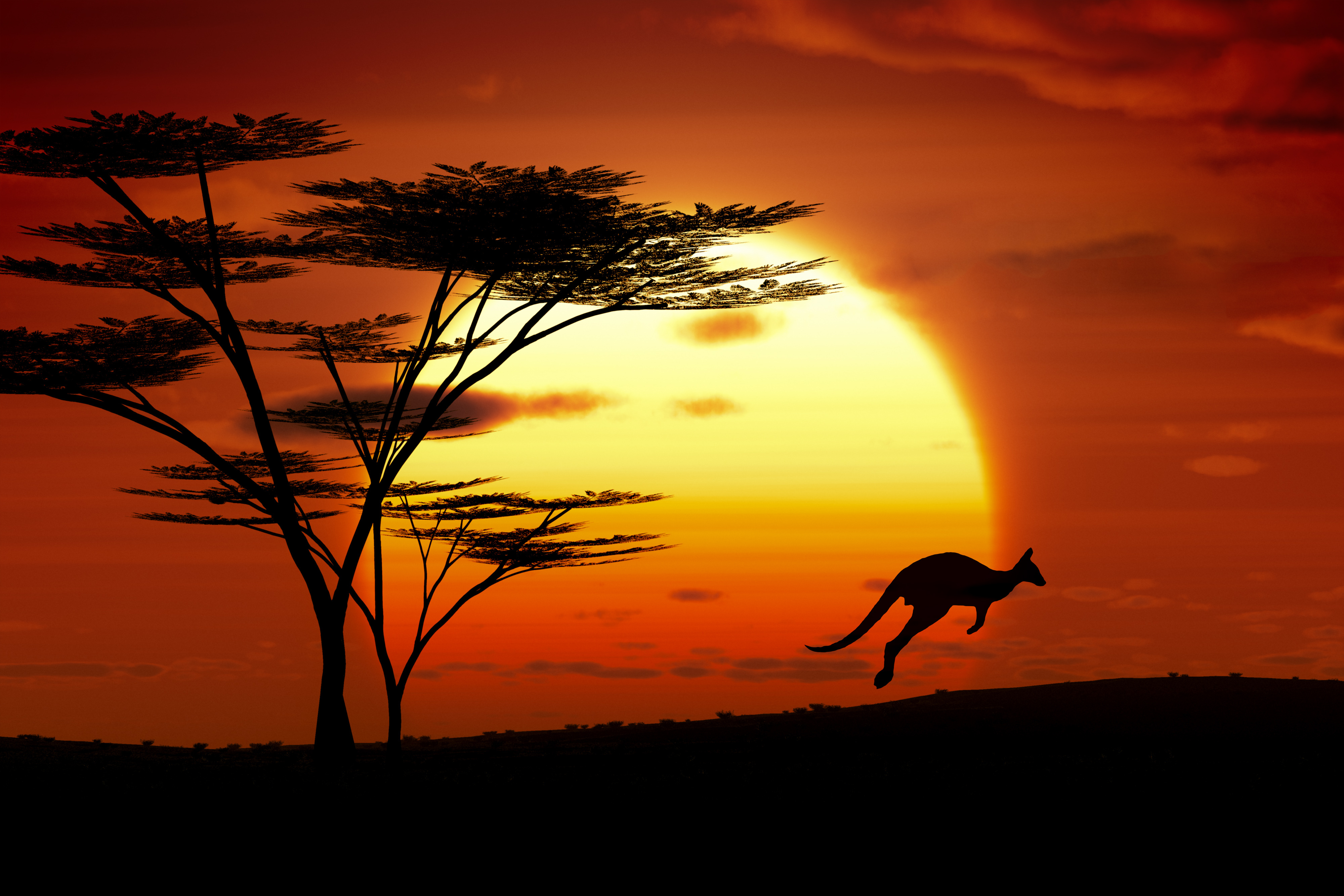 Australia Mulls Creating Own Cryptocurrency