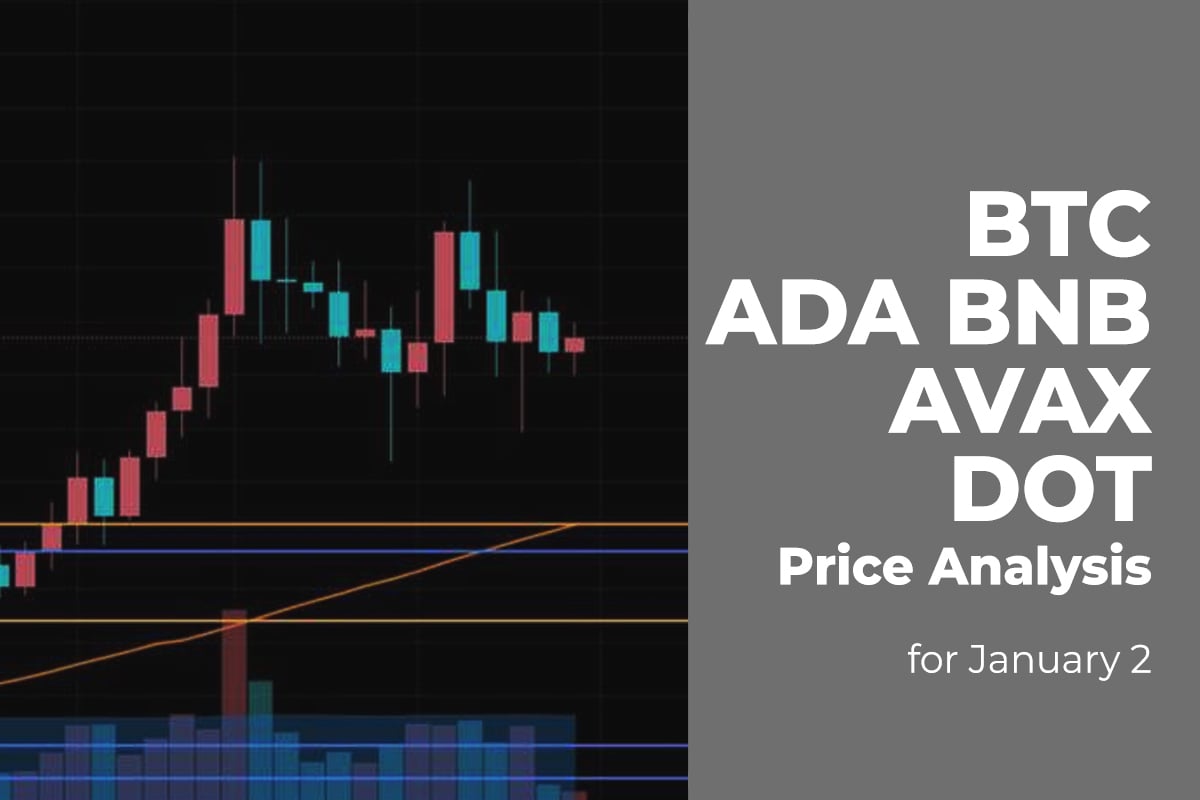 BTC, ADA, BNB, AVAX, and DOT Price Analysis for January 2