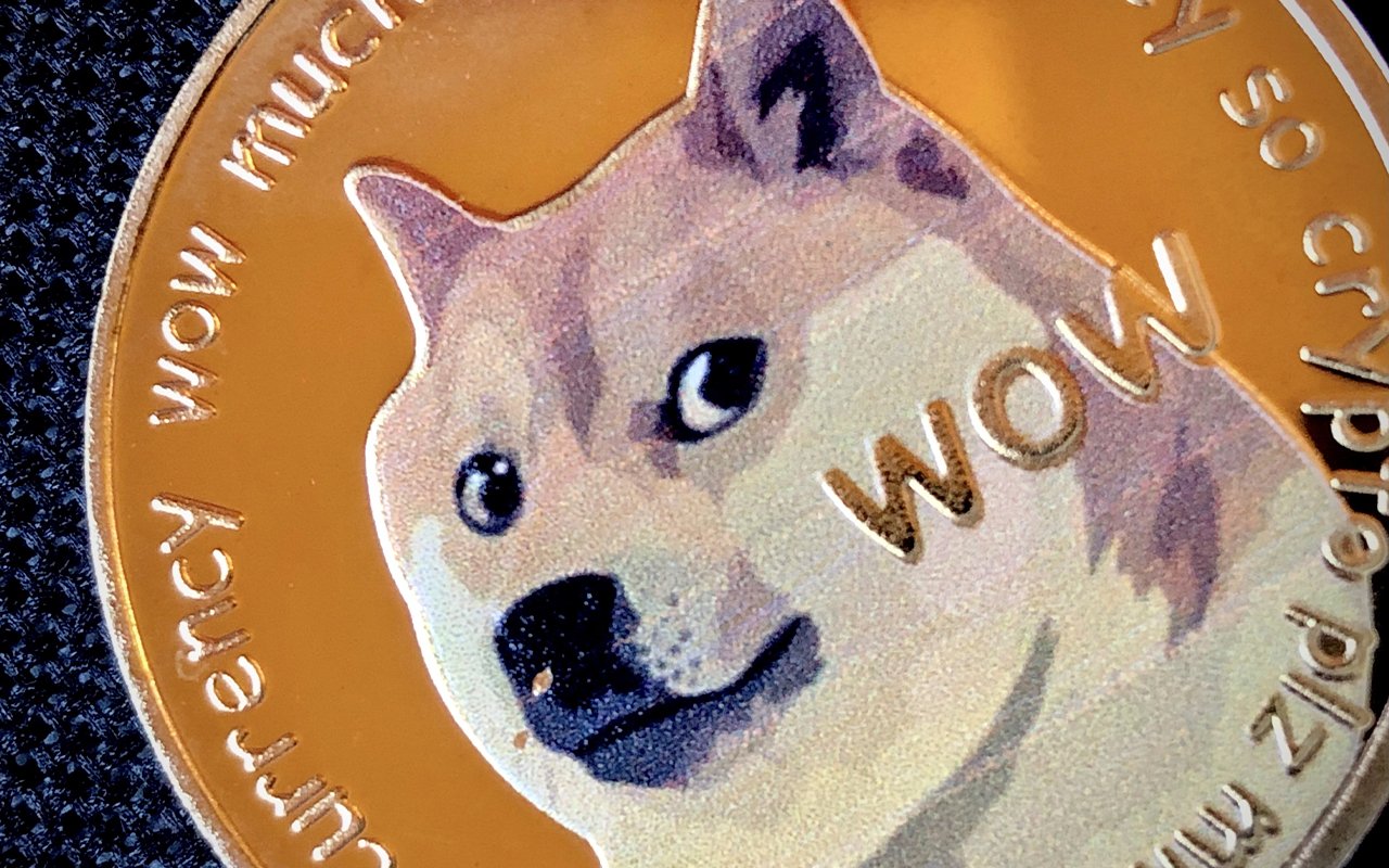 90.3 Million Dogecoin Wired by Anonymous Whales in Past 24 Hours