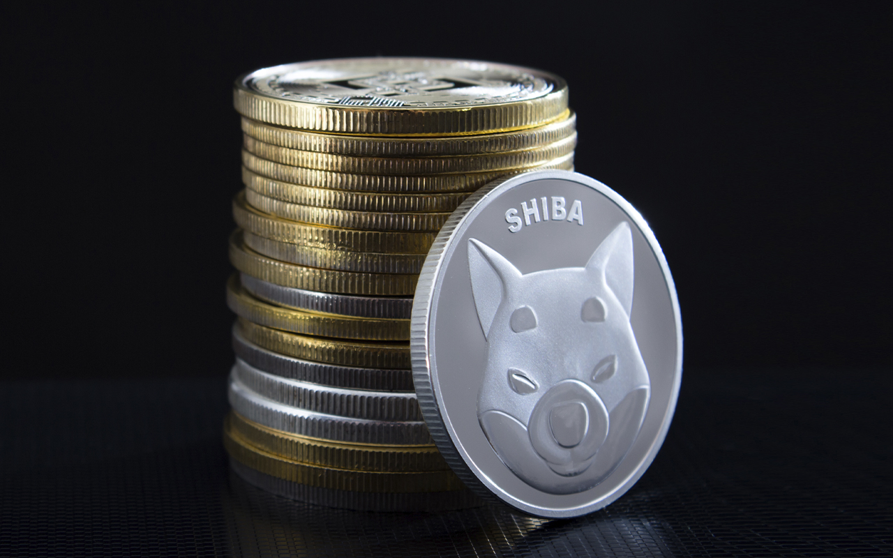 Shiba Inu Fights FTX Token in Battle For Biggest Whale Holding