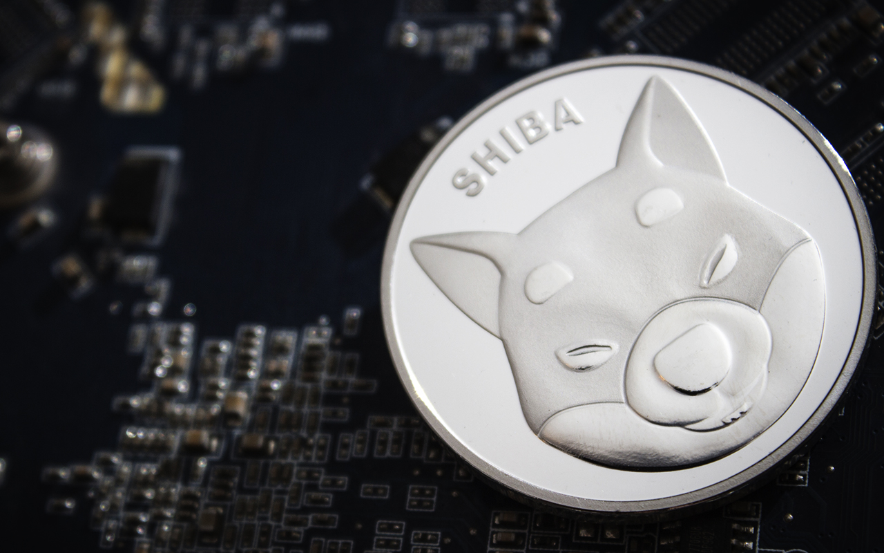 Shiba Inu Whales Held on To Tokens Despite Market Selloff – Details