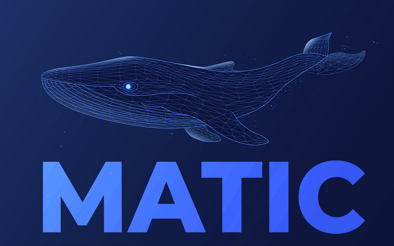 MATIC Whale Holding 20 Million Tokens Buys Extra $10 Million Worth