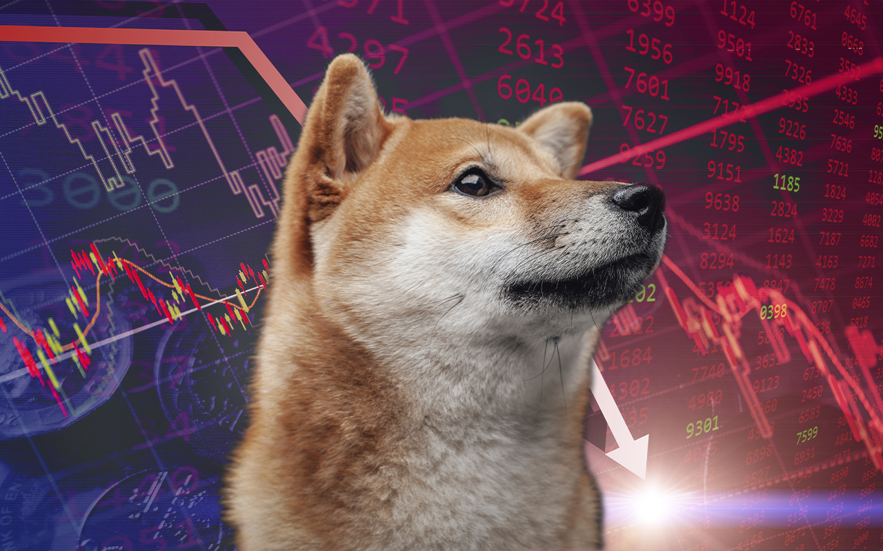 Shiba Inu Drops Below Dogecoin and AVAX in Top of Coins and Tokens by Market Capitalization