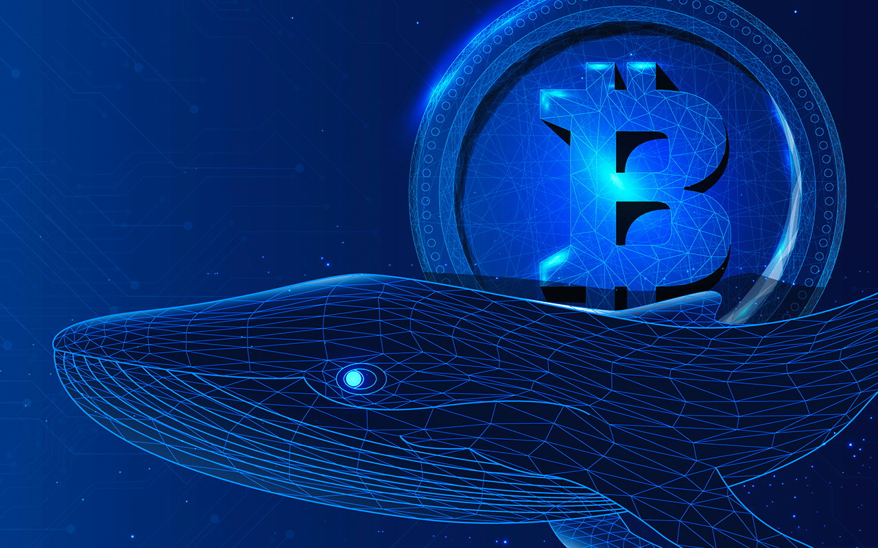 Whale Transactions Are Dropping on Bitcoin Network, but Here Is a Positive Sign