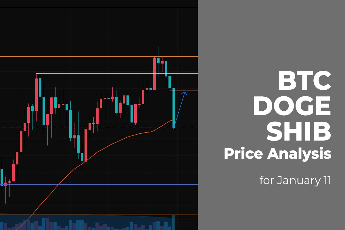 BTC, DOGE, and SHIB Price Analysis for January 11