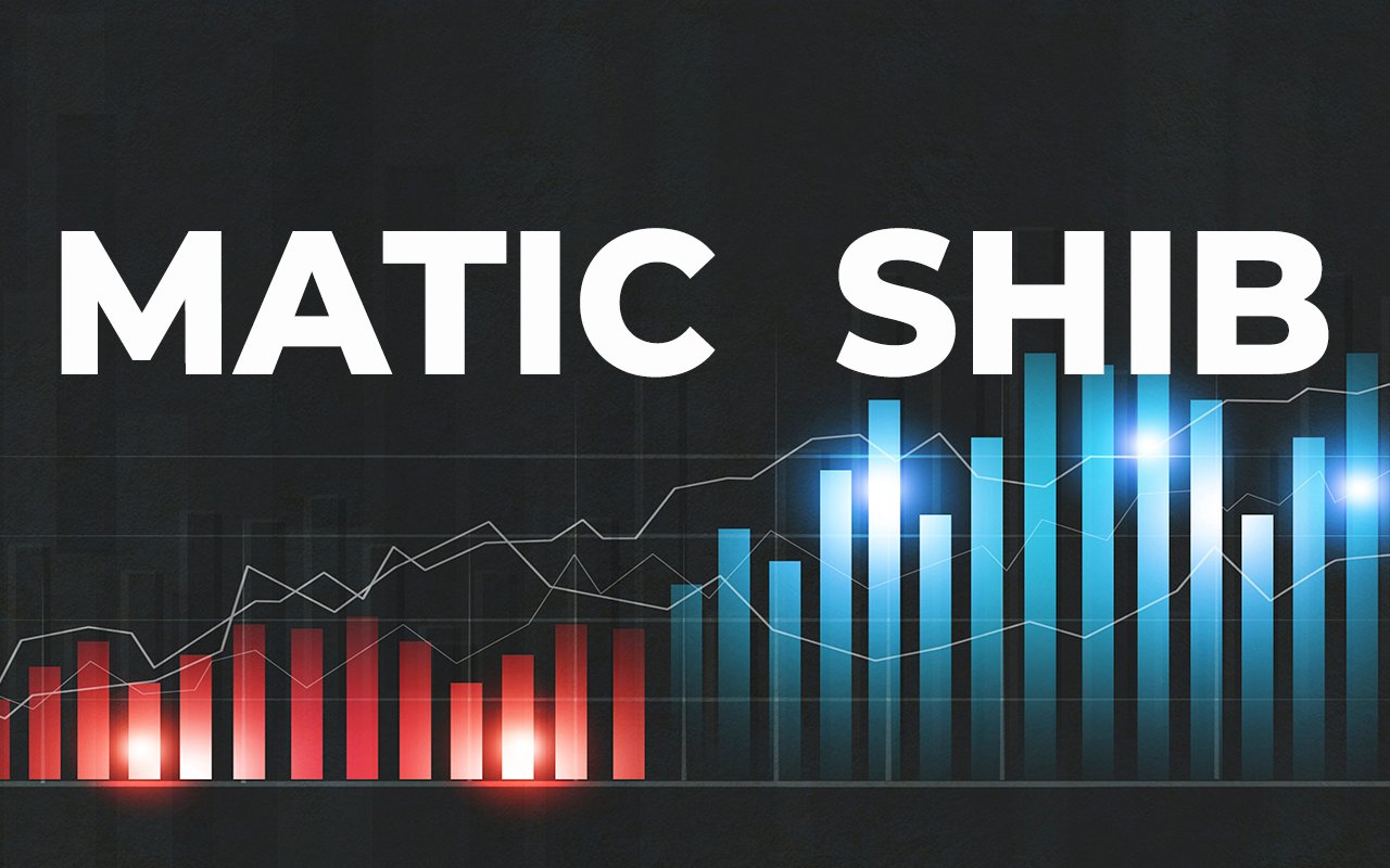 MATIC Flips Shiba Inu in Market Capitalization After 16% Rebound