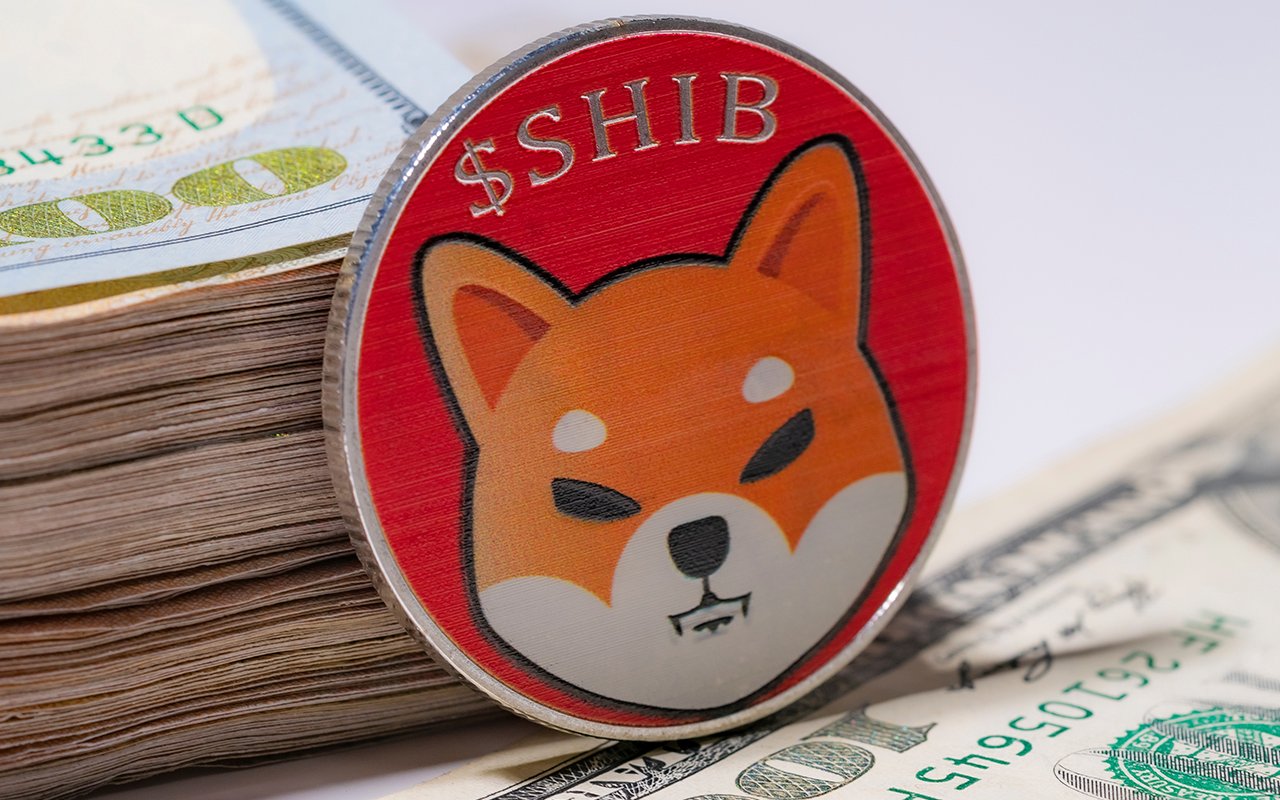 Shiba Inu is Now Biggest USD Position on Whale Wallets: Details