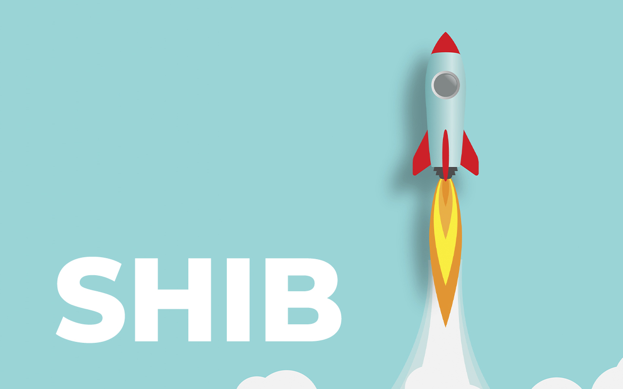Here's How Much More SHIB Must Be Burned for Price to Soar: Shib Community