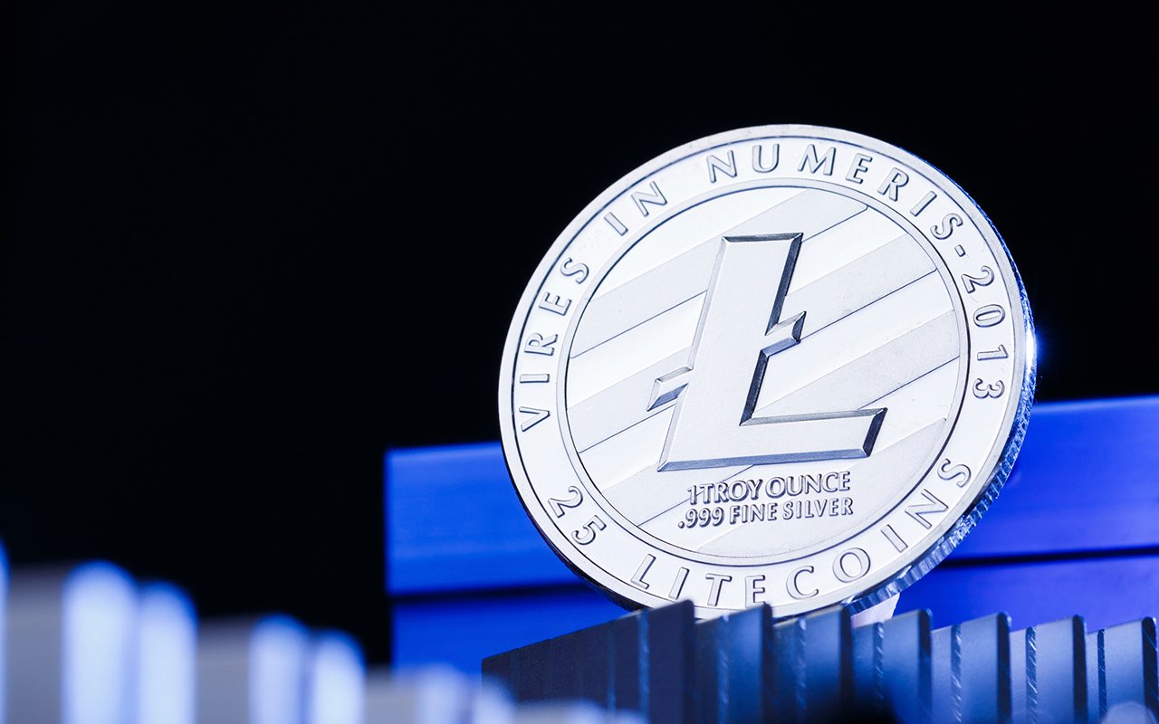 Litecoin Indicates Growth as Whales Begin a Month-Long Accumulation Spree