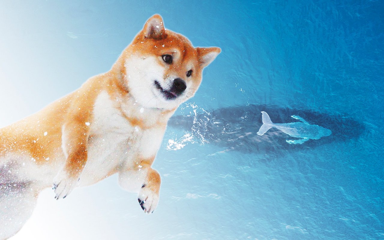 Shiba Inu Whale With 4 Trillion SHIB Increases Holdings; Here’s What Was Bought