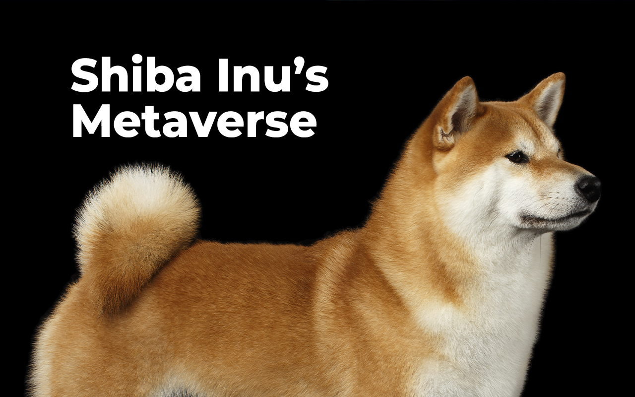 Dogecoin Co-Founder Harshly Criticizes Shiba Inu’s Metaverse