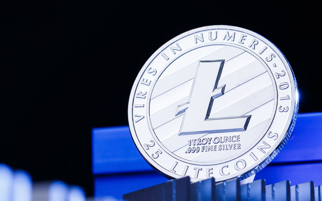 Litecoin Sees a 100% Rise in Large Transactions as Accumulation by Whales Continues