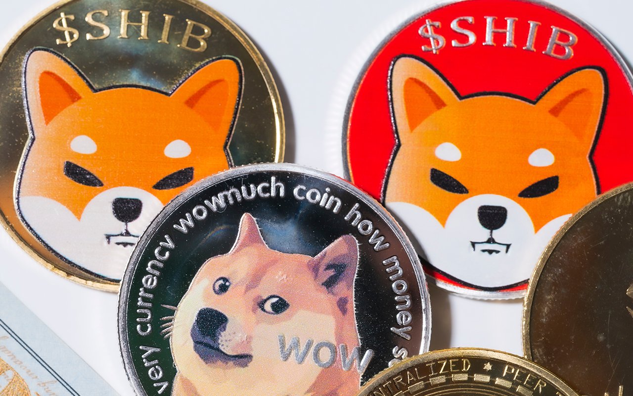 Shiba Inu, Other Cryptos Now Accepted by Luxury Yacht Company, Camper & Nicholsons via BitPay