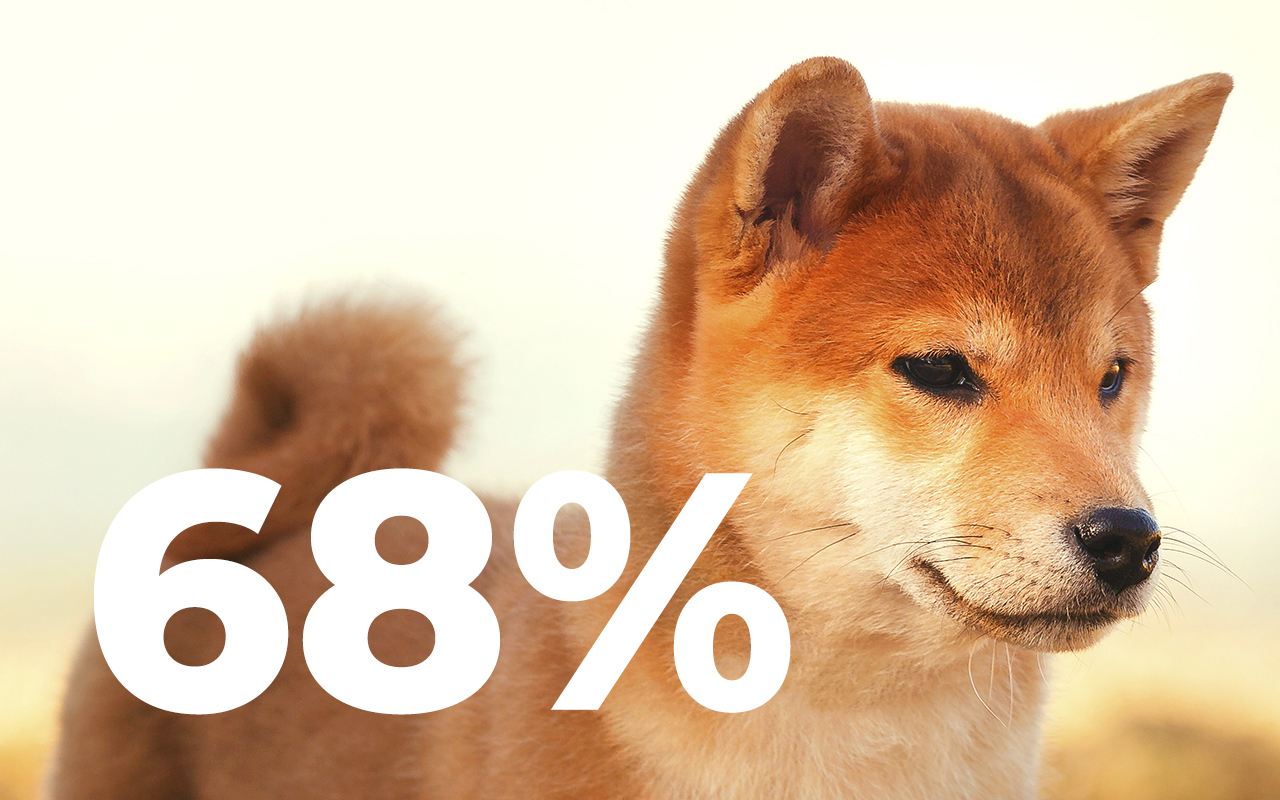 Shiba Inu Returns as One of Most-Purchased Tokens as Whale Transactions Spike 68%