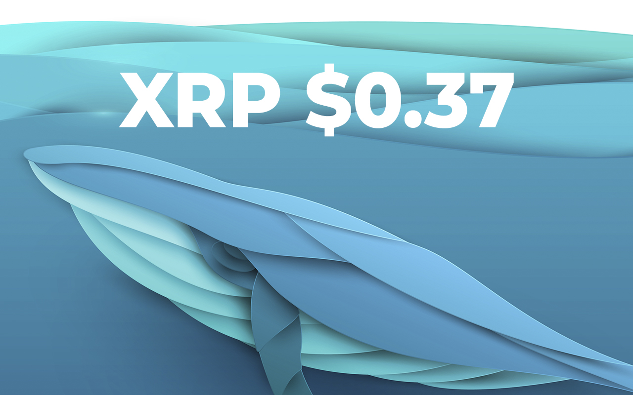 XRP Declines to $0.37 As Whales Move 440.3 Million Tokens