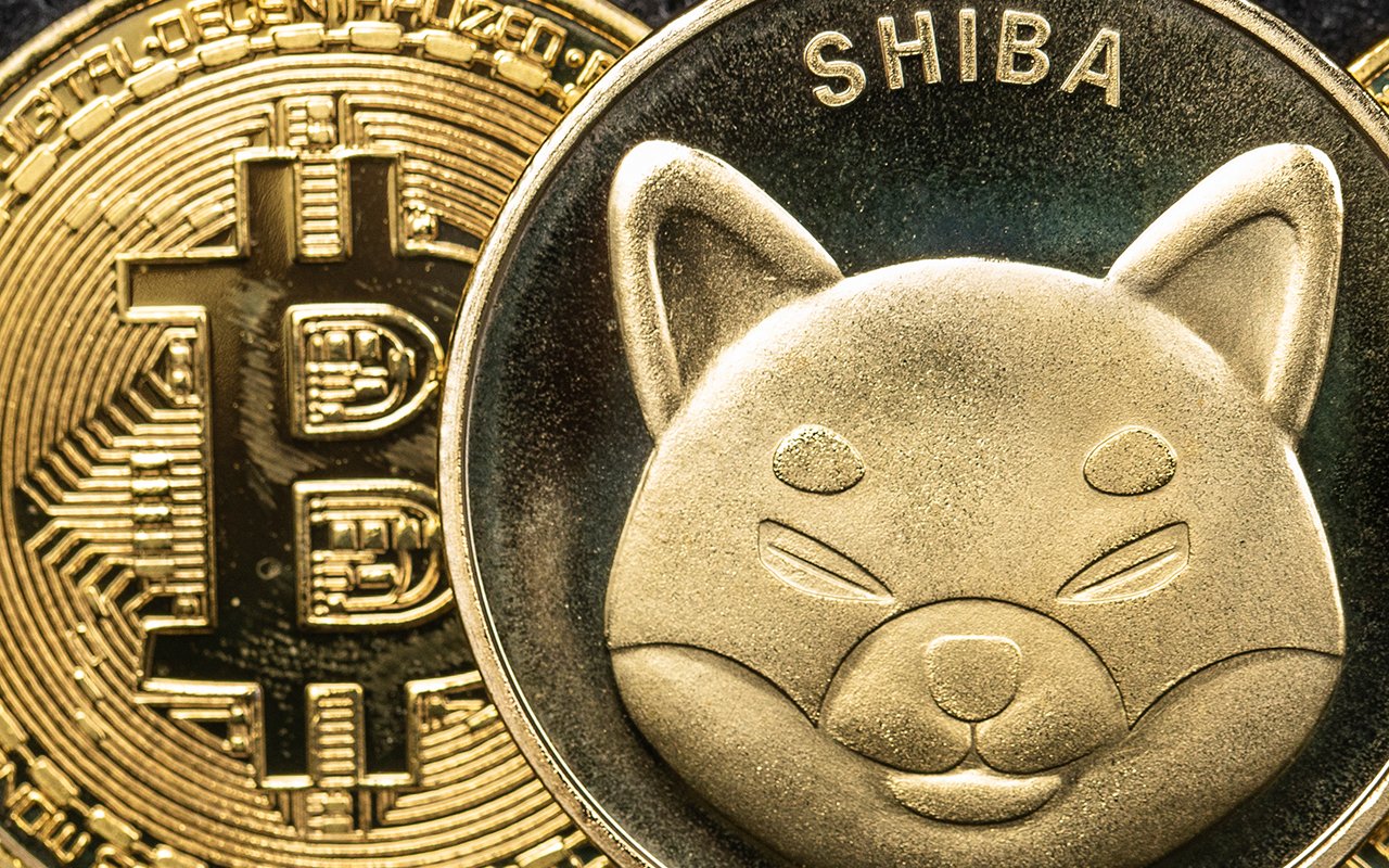 Shiba Inu, Bitcoin Now Accepted as Payments by Minnesota Based Jewelry Shop via BitPay