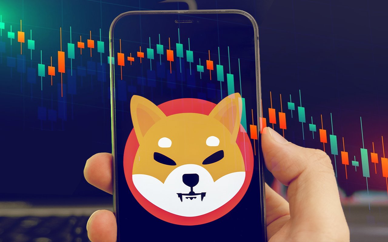 Shiba Inu Suggests Key Trend as Price Dips per This Metric: Details