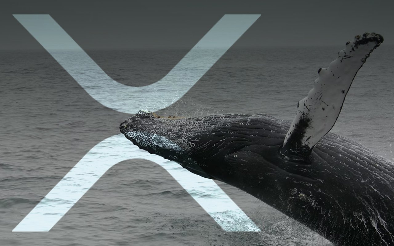 650 Million XRP Moved by Ripple and Anon Whales, Some Lumps Carried 130-210 Million XRP