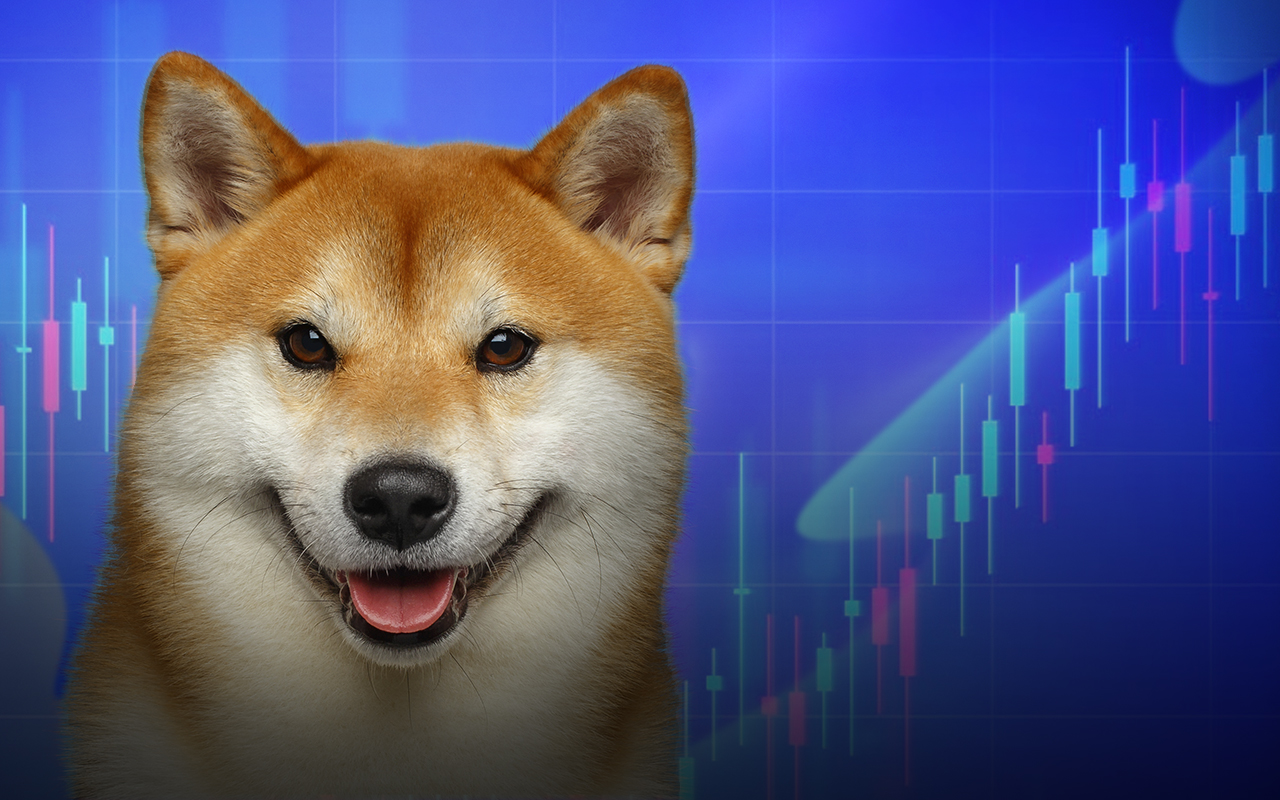 Here's When Shiba Inu's Price Will Start Moving With Higher Volatility, According to Charts
