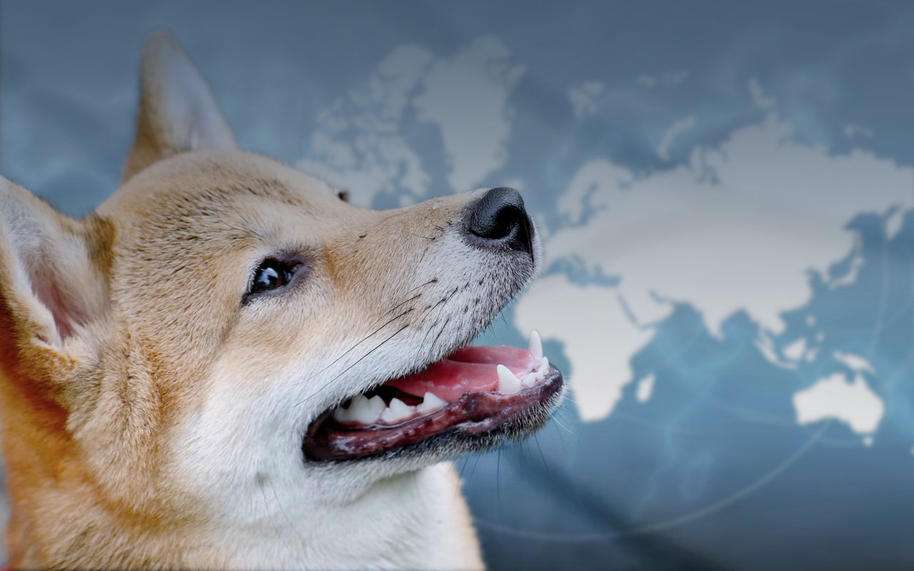 Shiba Inu Payments Now Enabled in 179 Countries Through This BitPay Integration