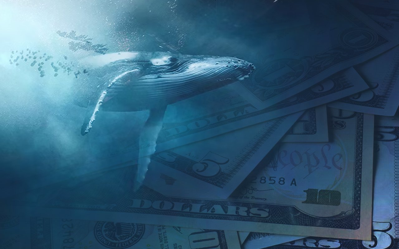 Largest Whale Inflow of $116,000 BTC Spotted; What It Might Mean for Price?
