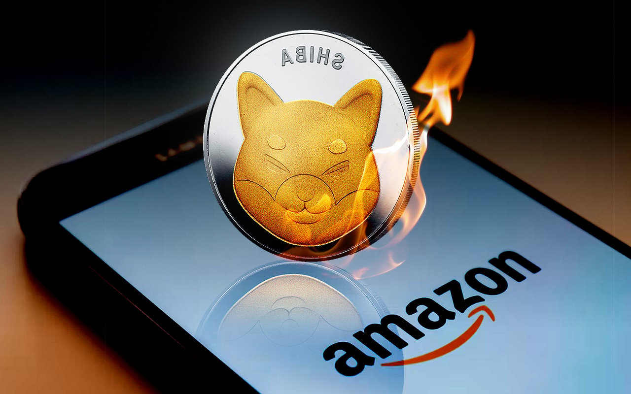 2.2 Billion SHIB Destroyed by This Amazon Burner Since November at Price 50% Higher Than Now
