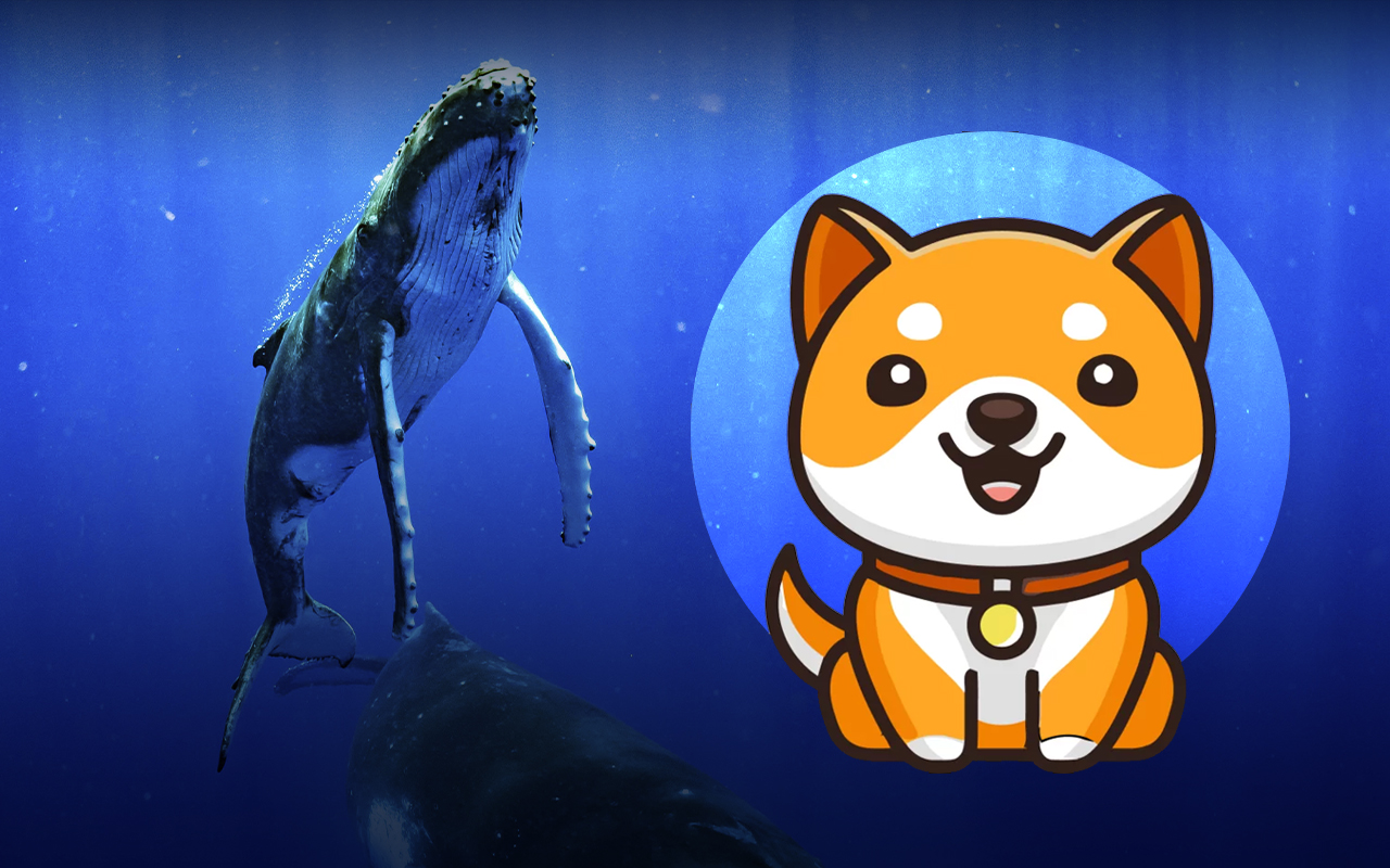 BabyDoge Becomes Top Ten Most Purchased Coin for BSC Whales