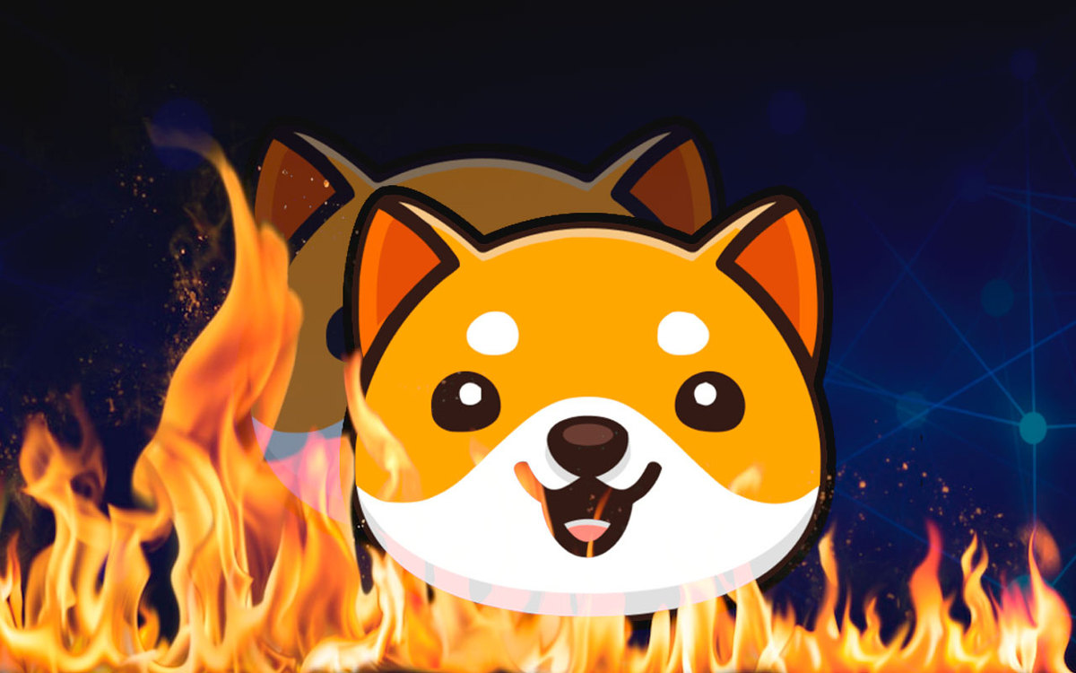 BabyDoge Spikes 14% as 14 Trillion BabyDoge Burned Within 24+ Hours: Details