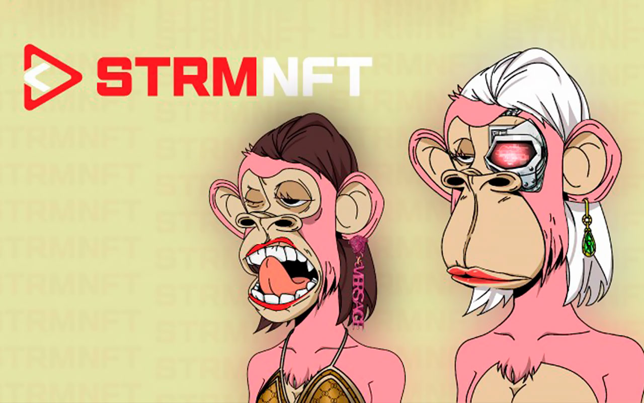 STRMNFT Marketplace Now in Full Swing With 5K+ Users, Thousands of Minted NFTs
