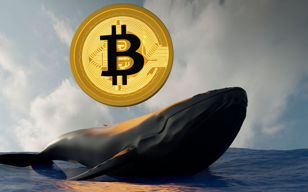 Bitcoin Whales Now Control 45.6% of BTC Supply & Continue to Aggressive Accumulate