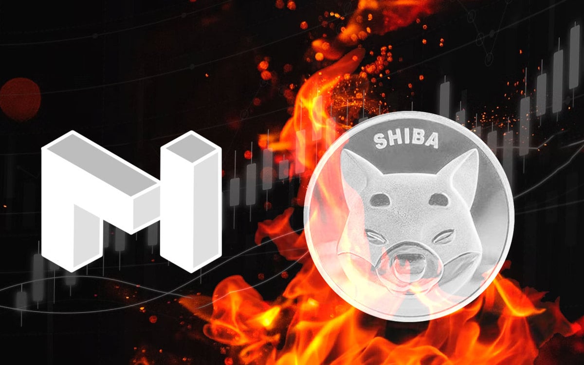Shiba Inu Burned Coins Exceed Marketcap of MATIC With $4 Billion Worth of Tokens Destroyed