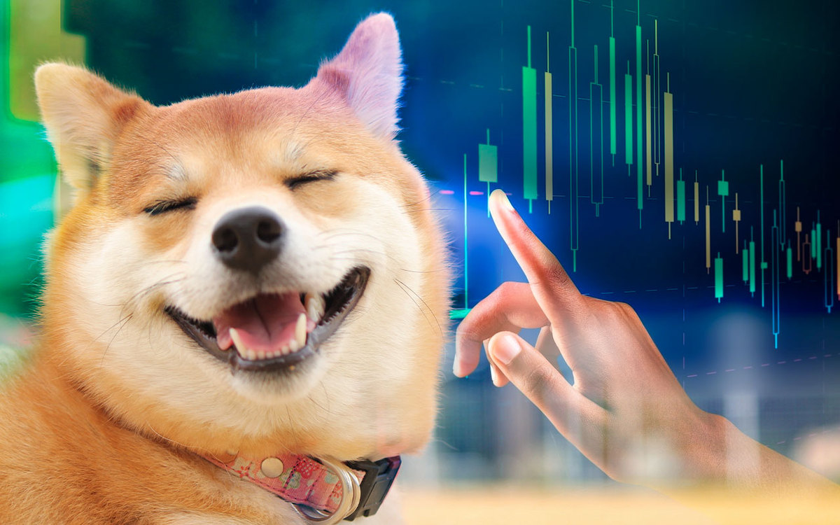 Shiba Inu’s Lead Dev Has Something To Say to SHIB Community; Price Consolidates at Support