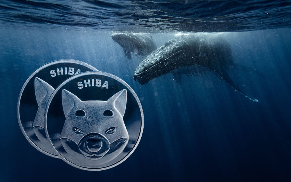 18.8 Million Dogecoin Bought by Whale With 40 Million XRP