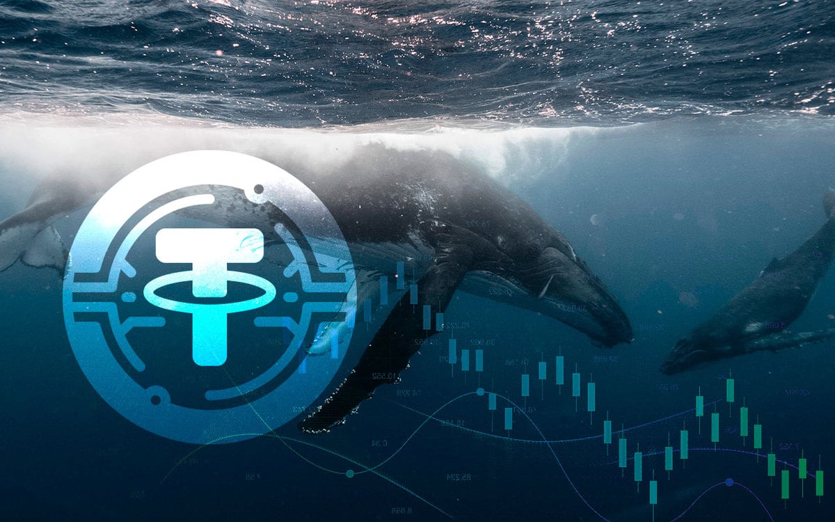 This Is Why Cryptocurrency Market Can't Go Up: Tether Whales Supply