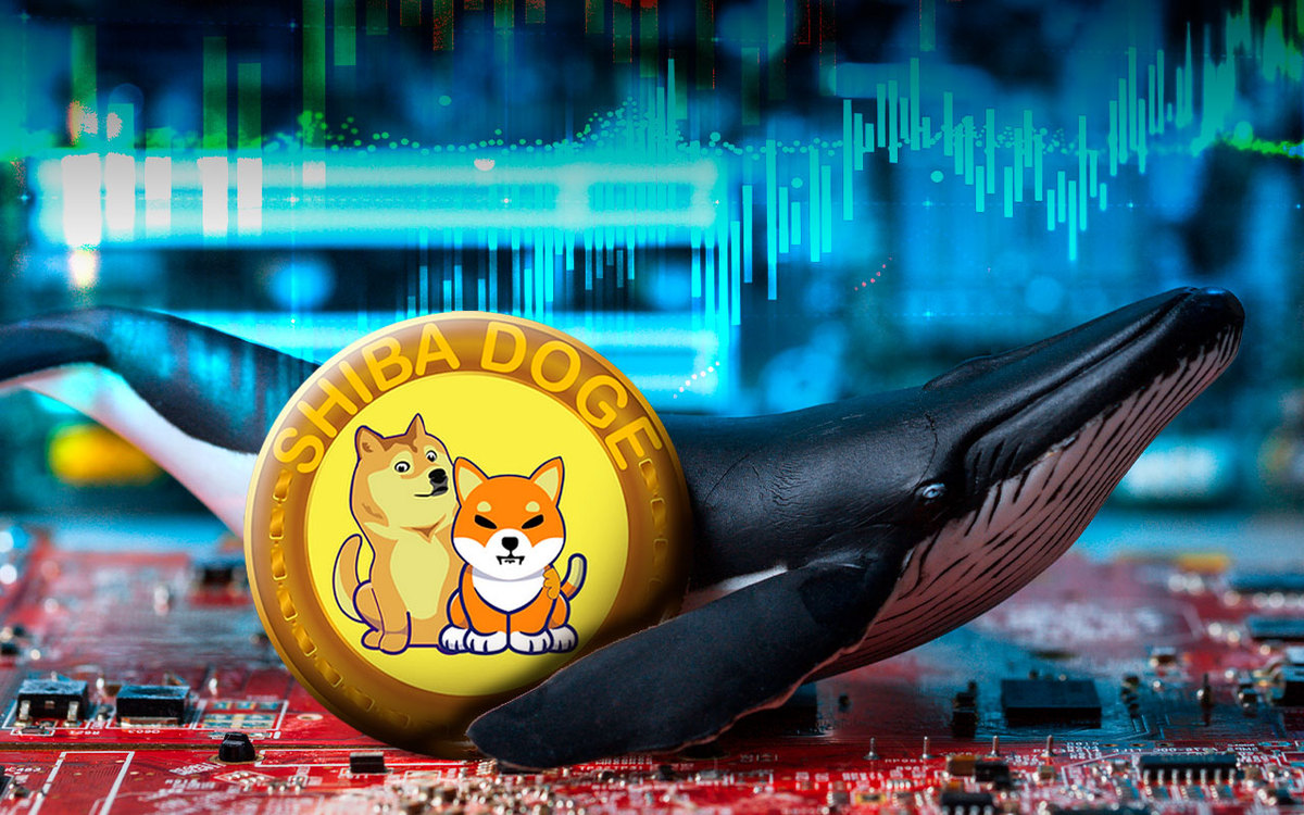 Not DOGE or SHIB, but ShibDoge Is the Most Held Coin Among the ETH Whales