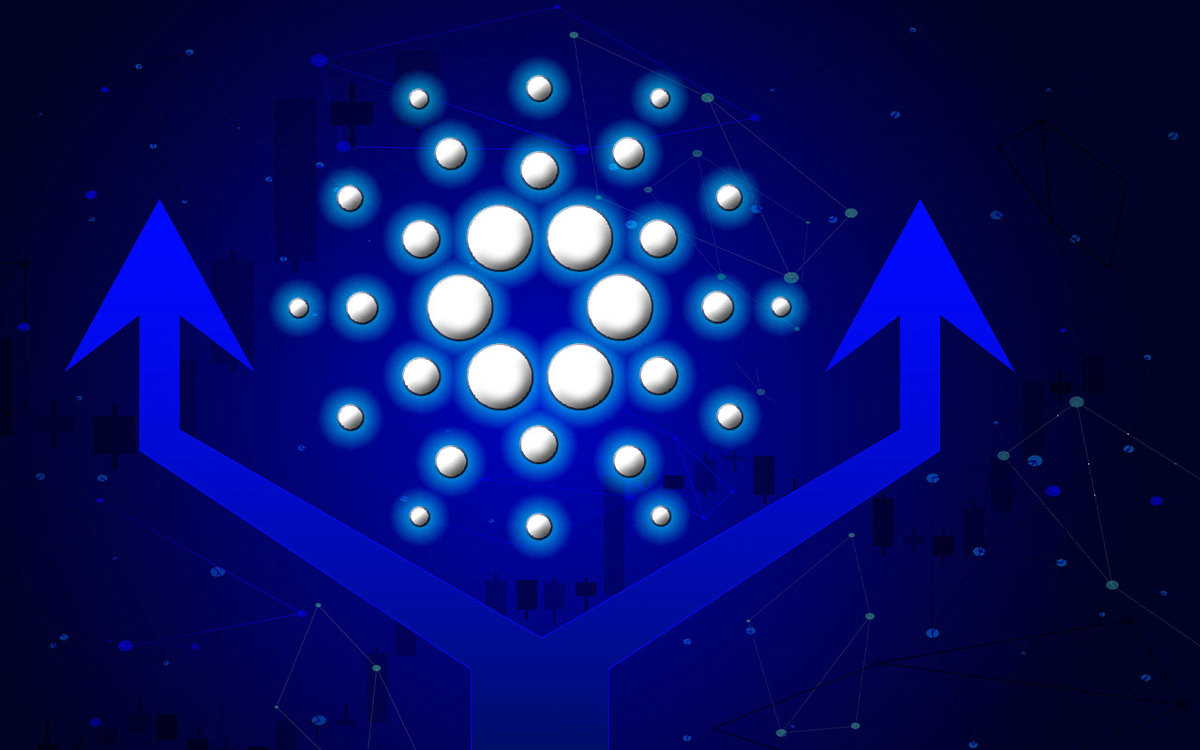Cardano Vasil: Developer Debunks Possibility of Likely Delay
