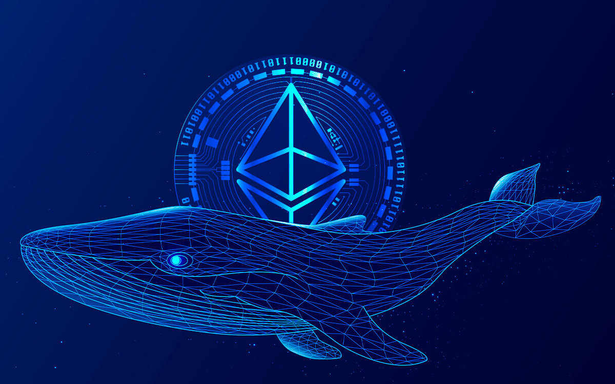 Massive Amount of Ethereum Whales Returned On Market After 15% Price Spike