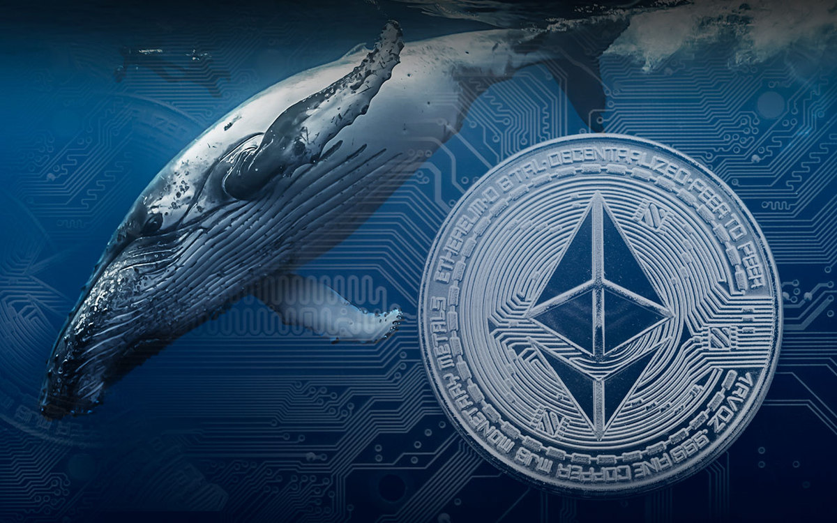 Ethereum Network Saw an Influx of 131 Whales as Price Recovers