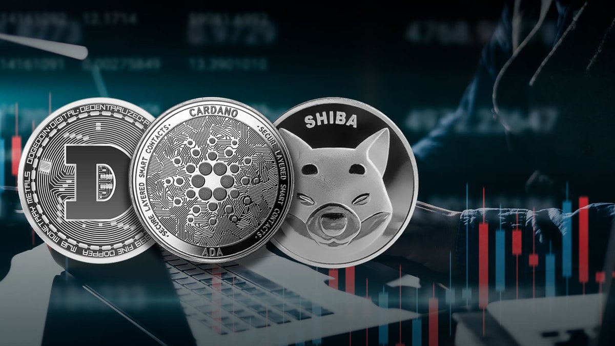 Cardano, Dogecoin, Shiba Inu Post Significant Gains as Traders Envisage "Long Term Breakout"