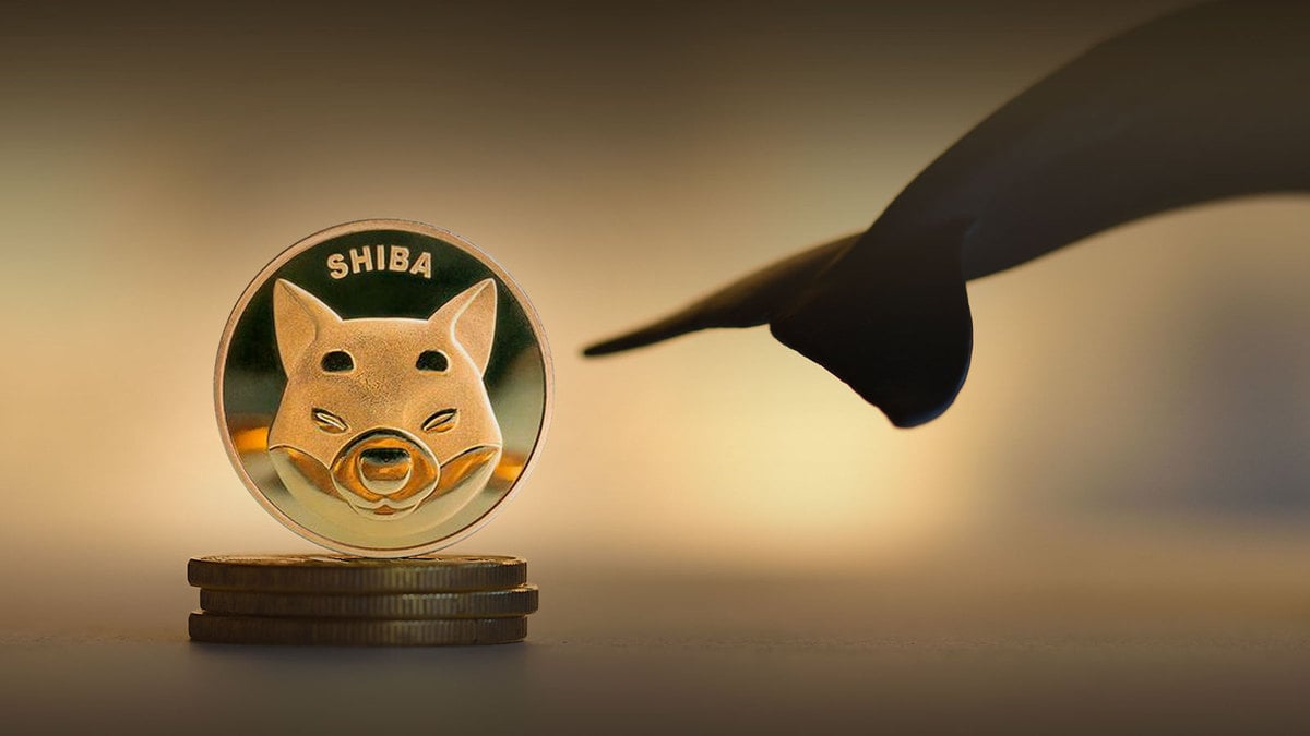 150 Billion SHIB Bought by Shiba Investor as Token Holds as Whales’ Biggest Asset in USD