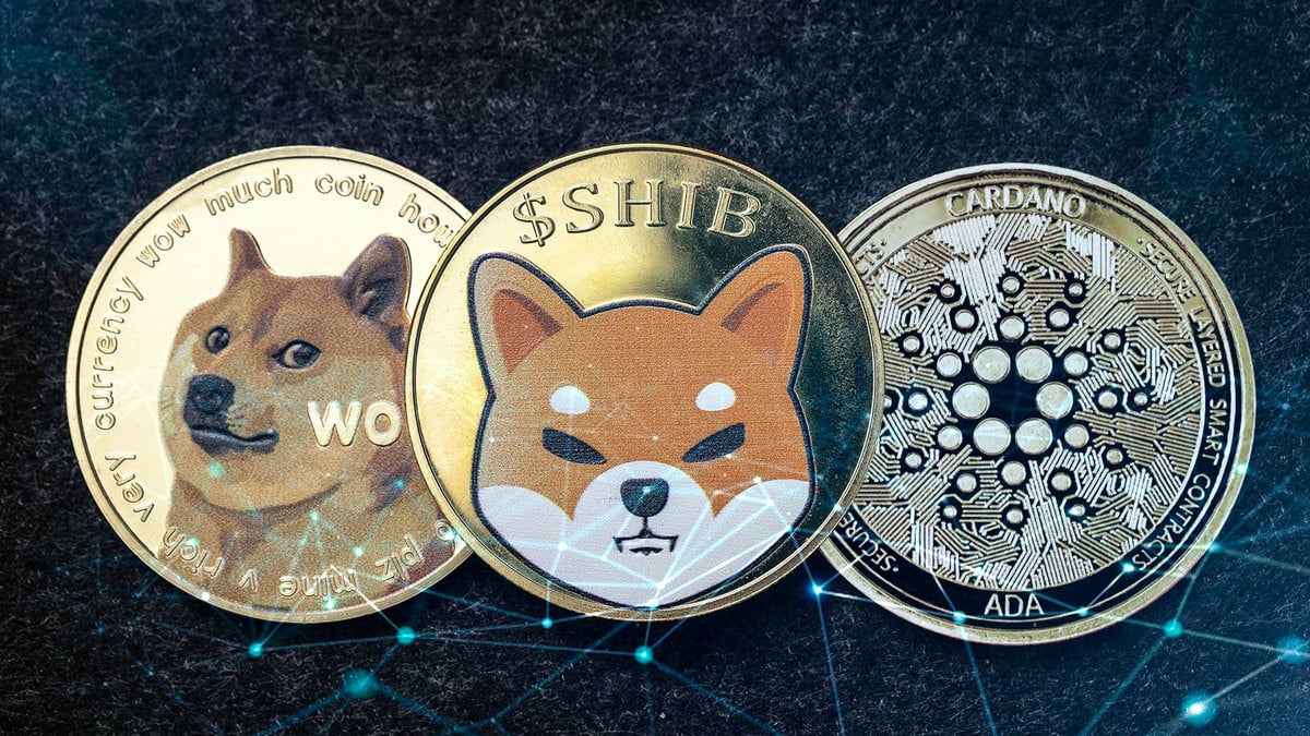 Cardano, Dogecoin, Shiba Inu Post Gains Amid Inflows Into Crypto Market