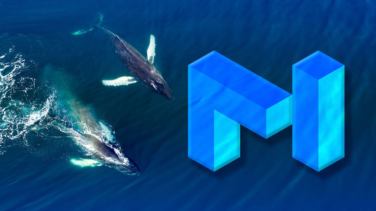 $2.5 Million in Top-Traded MATIC Token Acquired by These Two Whales